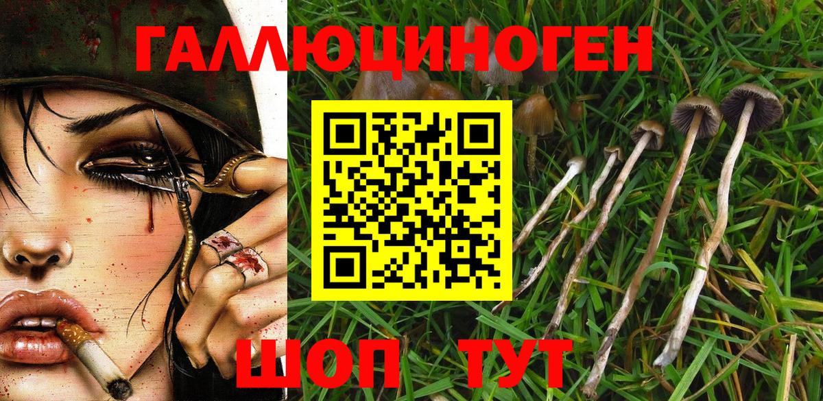 Спасск-Дальний  наркотики  Вход с VPN  Галлюциногенные грибы Psilocybine cubensis  Галлюциногенные грибы MAGIC MUSHROOMS 